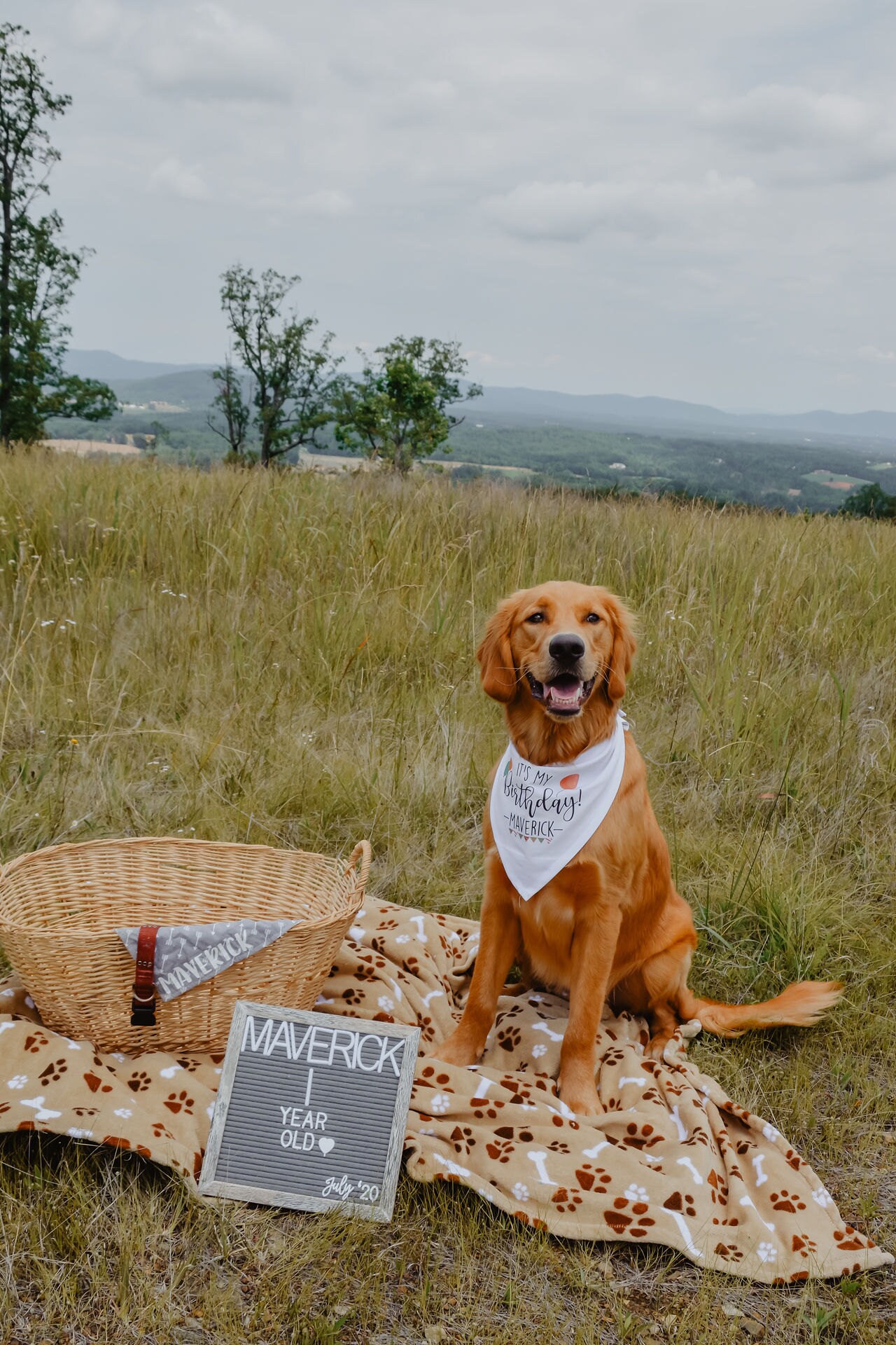 Dog 1st birthday bandana 2025