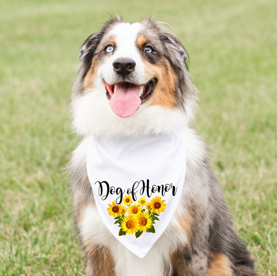 Dog Bandana Sunflowers Dog Bandana Sunflowers
