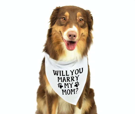 Dog Proposal Dog Bandana Proposal Proposal Ideas Wedding Dog Bandana Will You Marry My Mom Wedding Dog Proposal Wedding Proposal Dog Etsy Canada