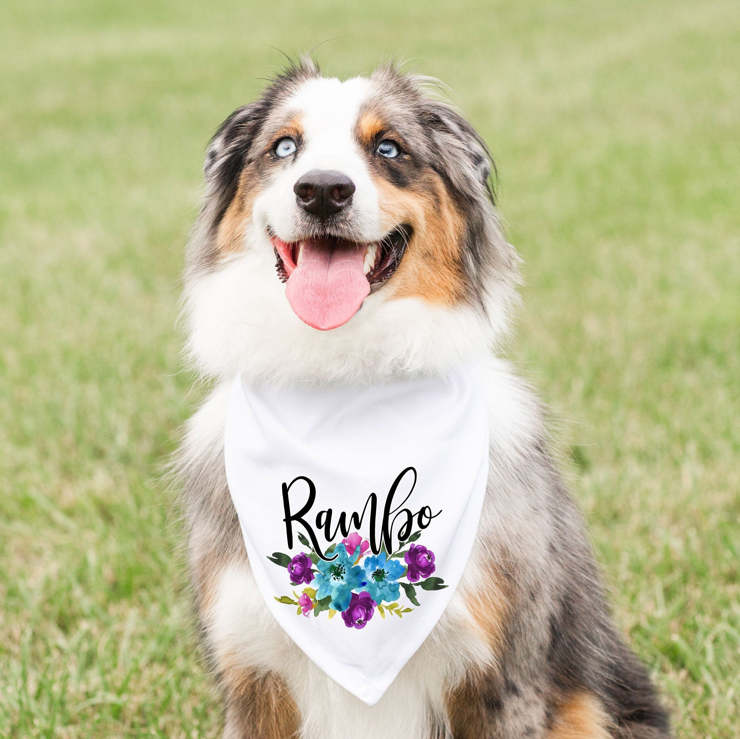 Dog scarf with name Clearance