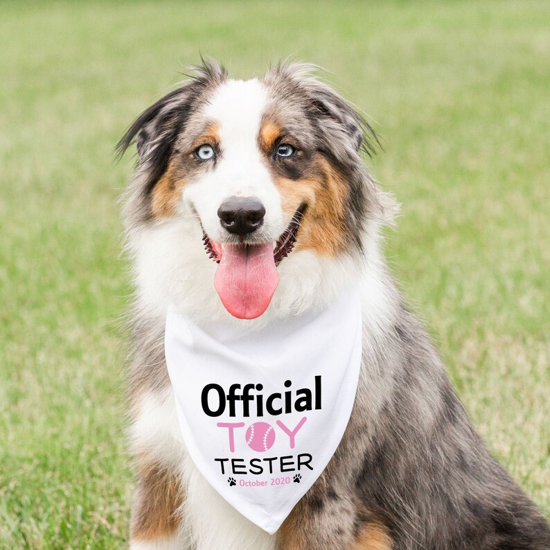 Dog Bandana Gender Reveal Dog Pregnancy Announcement Animal Etsy