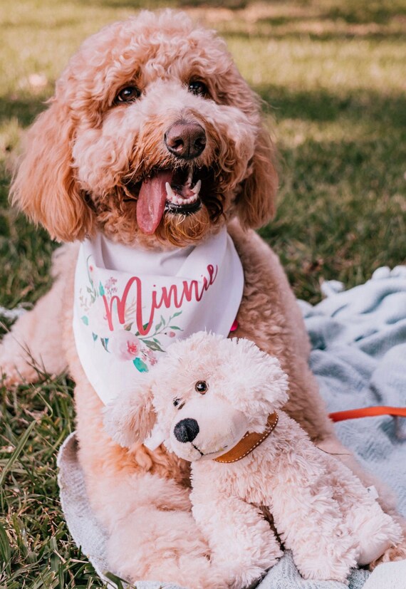 Monogrammed Dog Bandana — Customizable Dog Bandana