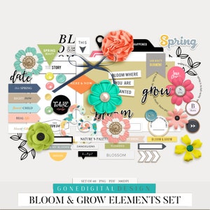 Pu&ograve; includere: Un set di 60 elementi digitali a tema primaverile per lo scrapbooking e il design digitale. Gli elementi includono fiori, foglie, banner e testo. I colori sono vivaci e allegri, con un focus sul rosa, il verde e il giallo.