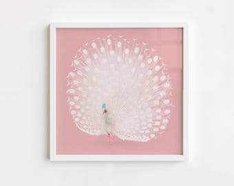 Cuadro de pavo real blanco para pared – Lámina cuadrada rosa palo, elegante decoración de aves