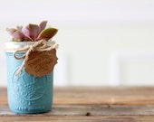 Succulent mason jar Celebration sized, baby shower, gift, wedding gift, birthday gift, house warming gift- READY TO SHIP