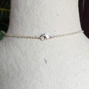 Puede incluir: Un collar de cadena de plata con cierre de mosquet&oacute;n.