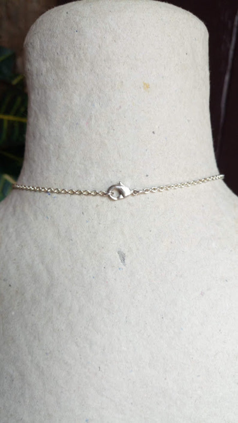 Puede incluir: Un collar de cadena de plata con cierre de mosquet&oacute;n.