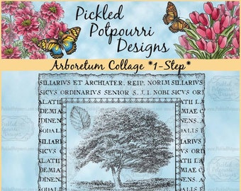 Arboretum Collage *1-Step* Digital Stamp Download