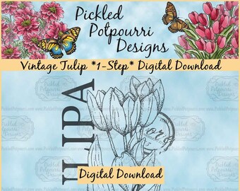 Vintage Tulip Collage *1-Step* Digital Stamp Download