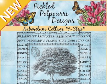 Arboretum Collage *1-Step* Digital Stamp Download