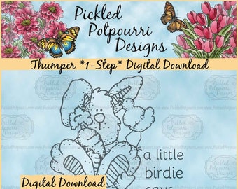 Thumper Birthday *1-Step* Digital Stamp Download