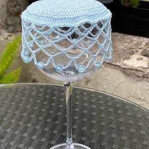 Vintage inspired beaded wine carafe/jug cover/wine glass cover Chantilly pale blue