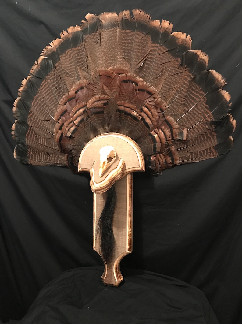 Barn Wood Box Call Turkey Plaque With Skull Plate Etsy