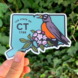 Connecticut Decal with State Bird & Flower, Robin and Mountain Laurel - High quality, suitable for indoor/outdoor/bumper sticker use