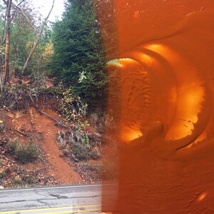 Puede incluir: Una imagen dividida que muestra una escena de bosque con un camino de tierra y un primer plano de una superficie naranja texturizada con una forma de media luna marr&oacute;n claro.