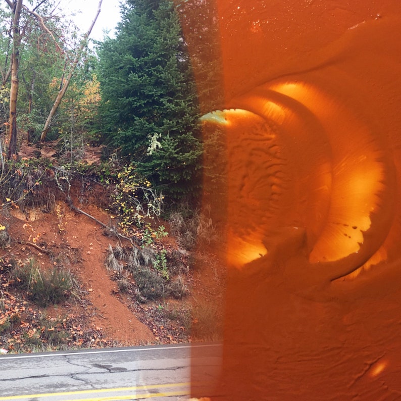 Puede incluir: Una imagen dividida que muestra una escena de bosque con un camino de tierra y un primer plano de una superficie naranja texturizada con una forma de media luna marr&oacute;n claro.
