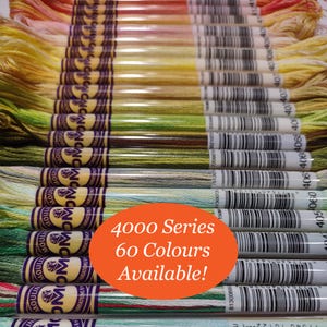 DMC Colour Variations Floss – 100% Cotton Embroidery Thread, 4000 Series (417F)