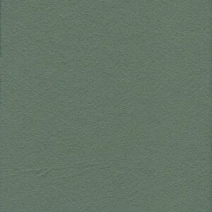 May include: A solid, sage green fabric swatch. The fabric has a soft, fuzzy texture.