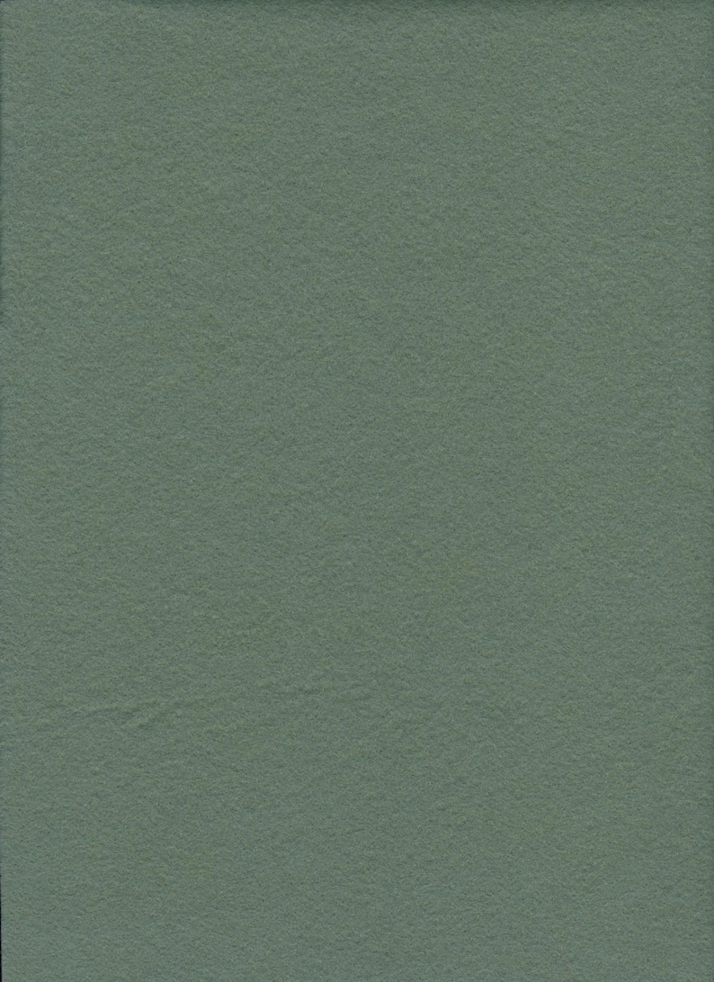 May include: A solid, sage green fabric swatch. The fabric has a soft, fuzzy texture.