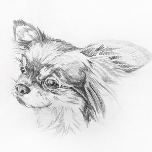 Benutzerdefinierte Haustier Portrait