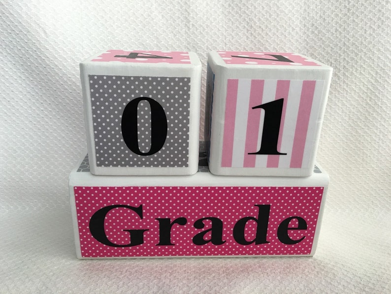 Baby Photo Prop Wooden Age Blocks Maternity Photo Prop Baby Age Blocks Custom Milestone Blocks for Baby and Pregnancy: Pink and Blue