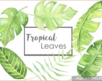 tropical leaves art etsy