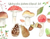 Watercolor Autumn /  Mushroom Clip art / autumn forest / forest art / forest clip art / fall clip art / watercolor acorn