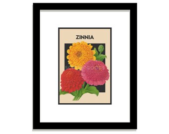 ZINNIA Print #1, Garden Flower Illustration, Farmhouse Style Art, 5x7 Botanical Graphic, Multi-Color Floral Wall Decor, Seed Packet Artwork