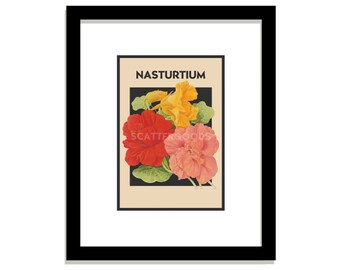 NASTURTIUM Art Print #1, Floral Wall Graphic, Yellow & Pink and Red Flower Artwork, 5 by 7 Botanical Illustration, Vintage Seed Packet Look