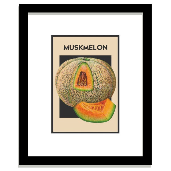 MUSKMELON Print #1, Cantaloupe or Melon Art, Tan & Orange Fruit Graphic, 5 x 7 Botanical Illustration, Gift for Foodie, Seed Packet Artwork