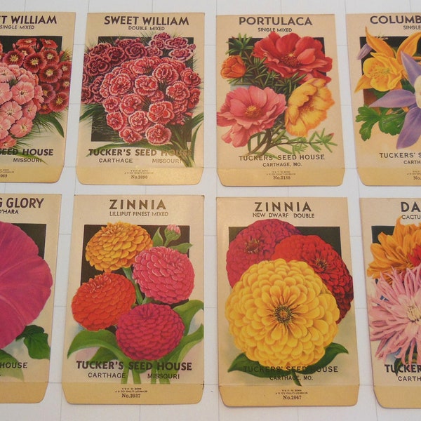 Lot of 8 vintage FLOWER SEED PACKETS (E3)-Schmidt Litho Co-Tuckers Seed House-Unused 1930s garden seed packs-3 1/4" x 5"
