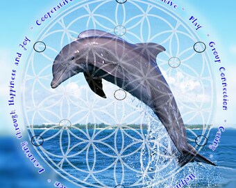 Delfin