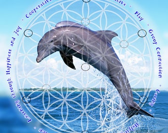 Delfin