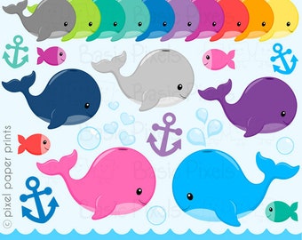 Whale clipart - Cute Colorful Whales - Digital Clip Art - Personal and commercial use