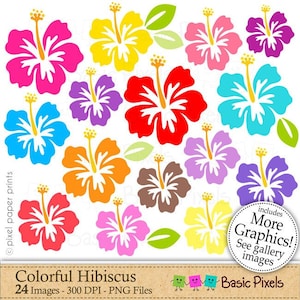 Hibiscus clipart - colorful hibiscus - Clip art - commercial use