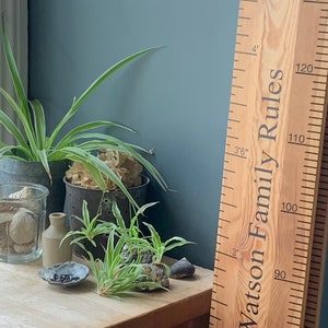 May include: A wooden growth chart with the text "Watson Family Rules" and height markings in feet and inches. The chart is placed next to a table with potted plants and decorative items.