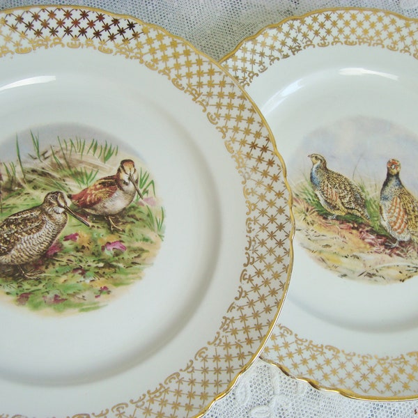 Pair vintage French plates with bird motifs country farmhouse style Moulin des Loups