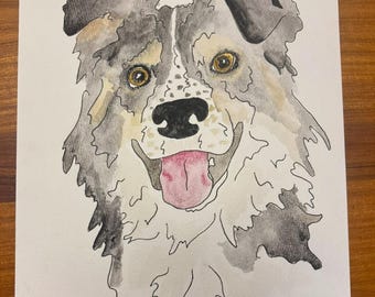 Single Pet Portrait