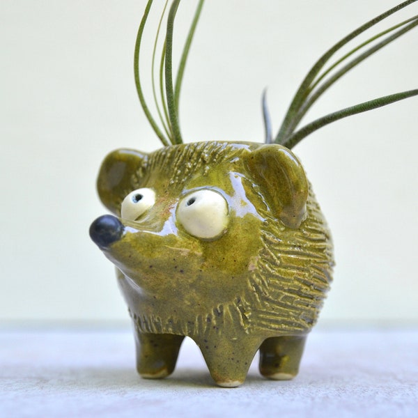 Air Plant Pot / Hedgehog Air Plant Holder / Green Hedgie