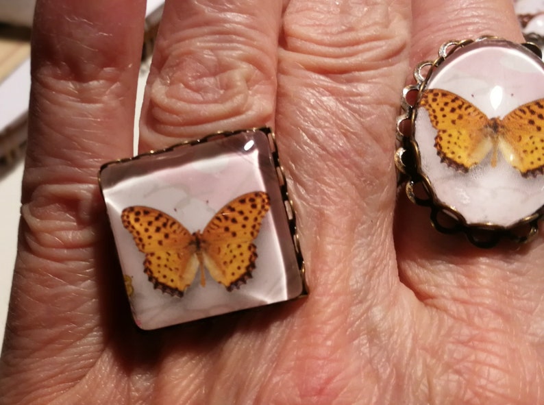 Oval or square amid powder and White Butterfly cabochon ring