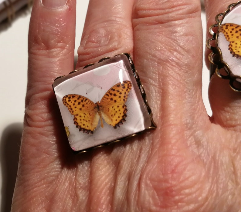 Oval or square amid powder and White Butterfly cabochon ring