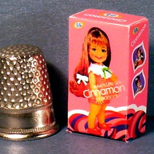 May include: A pink box with a doll on the front. The doll has long red hair and is wearing a pink dress with a green bow. The box says "What's Like Box Cinnamon Hairdo's".