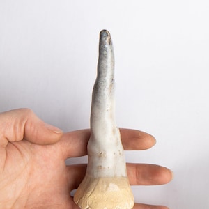 Cono ad anello in bianco