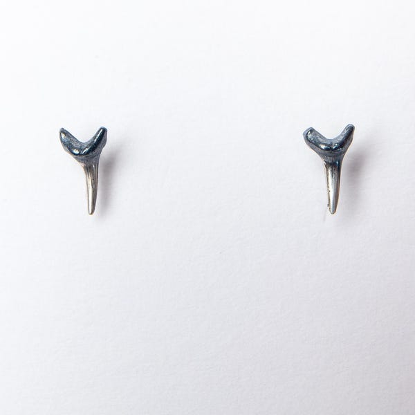 Tiny Sand Tiger Shark Studs