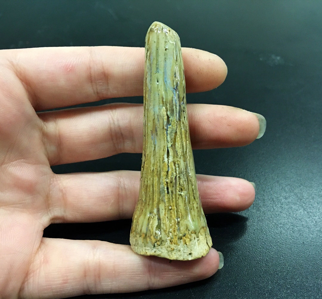 Ceramic Ring Cone Textured Etsy