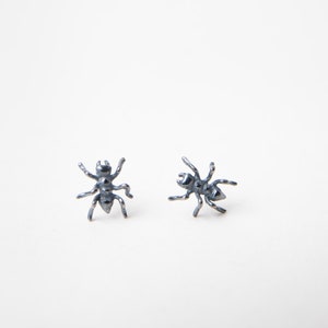 Ant Stud Earrings
