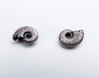Ammonite Silver Stud Earrings