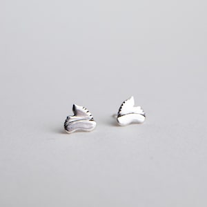 Tiger shark tooth studs medium size