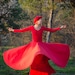 see more listings in the Whirling Skirts section