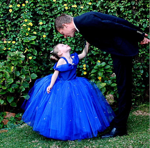 royal blue princess ball gown